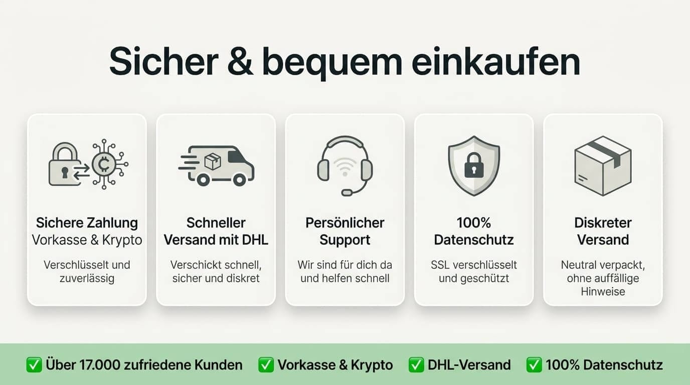 sicher einkaufen iboga king