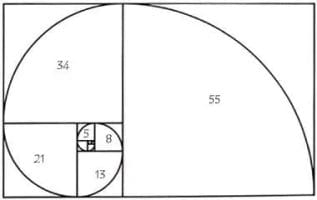 fibonacci spirale